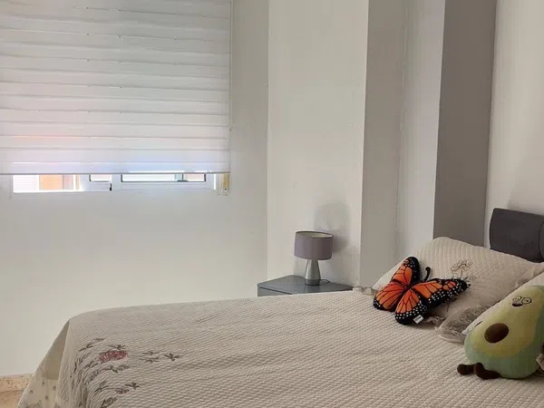 Piso en Calle Ingeniero Sanchiz Pujalte, 20, Campoamor - Foto 5