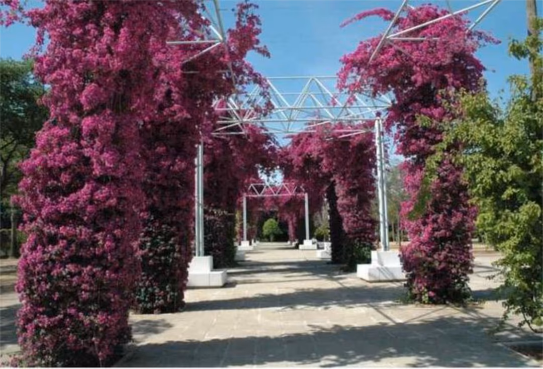 Piso en Tiro de Línea - Foto 5