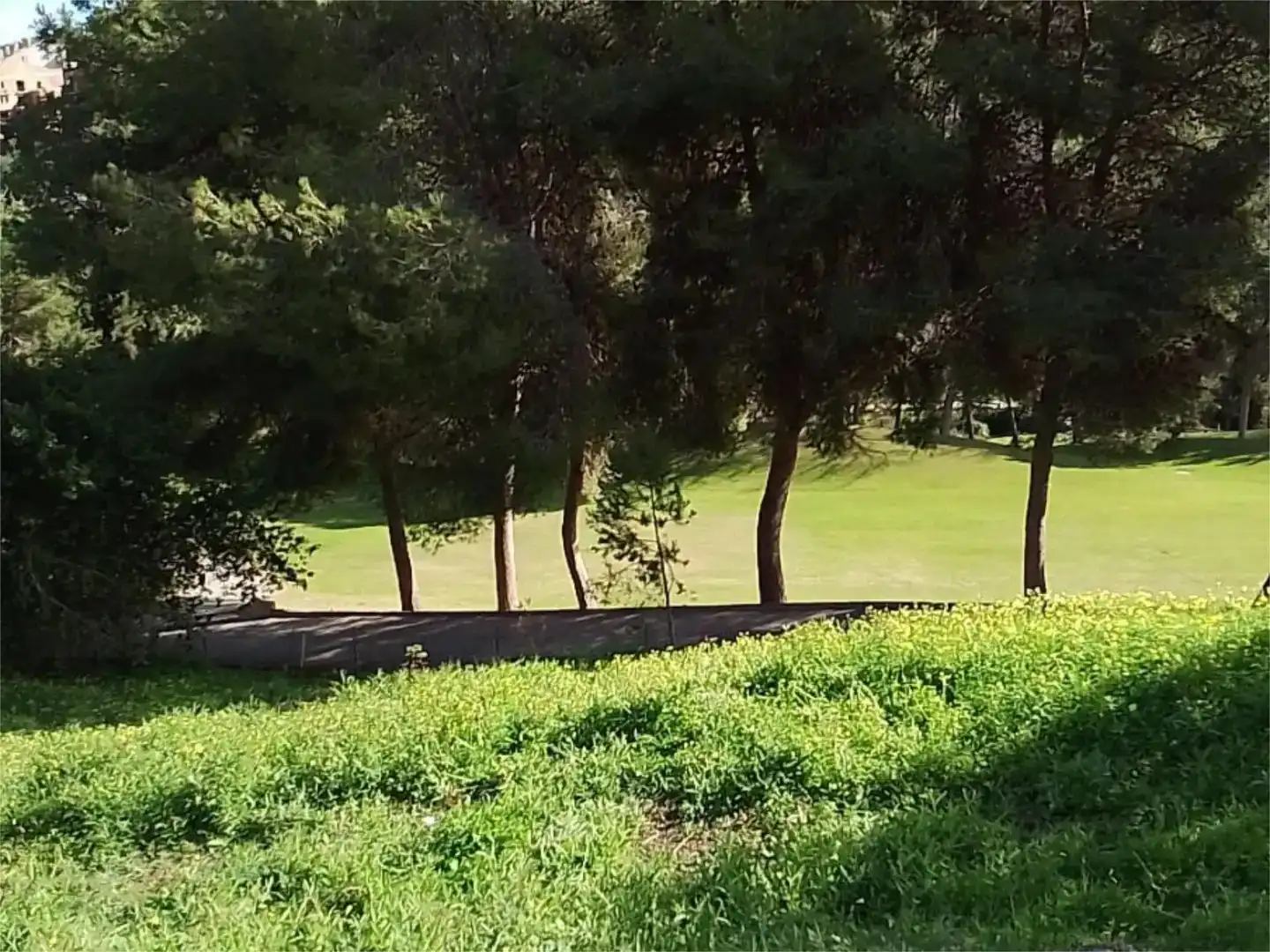 Terreno Residencial en  Paseo del Golf 4 - Foto 7