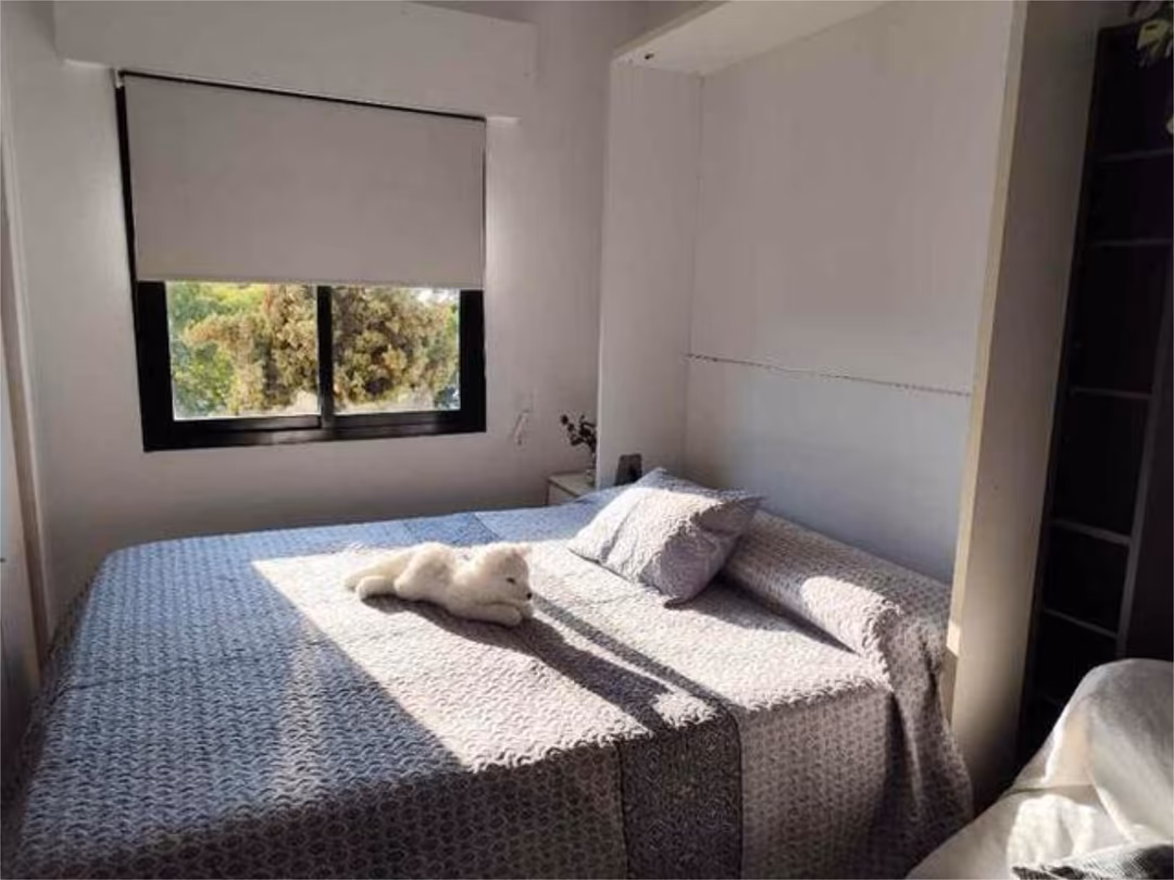 Estudio en Sevilla Este
