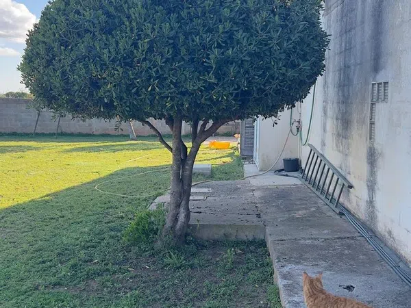 Casa independiente en Llucmajor Interior - Foto 3