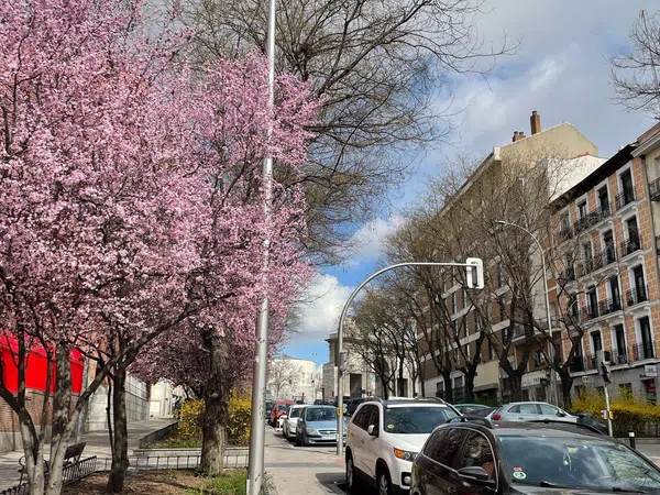 Piso en Barrio Imperial - Foto 37