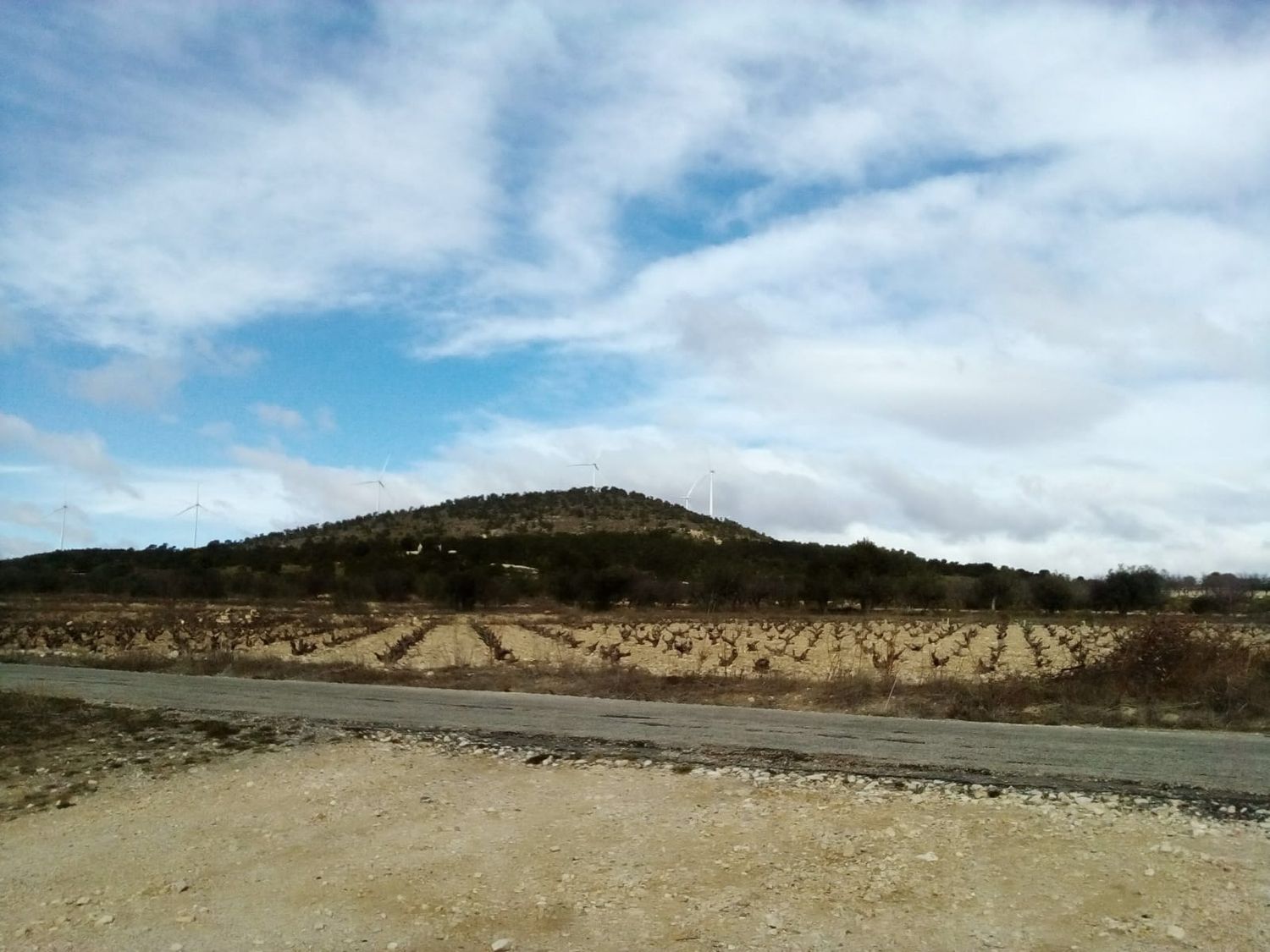 Finca rústica en Rm-a14 s/n - Foto 18