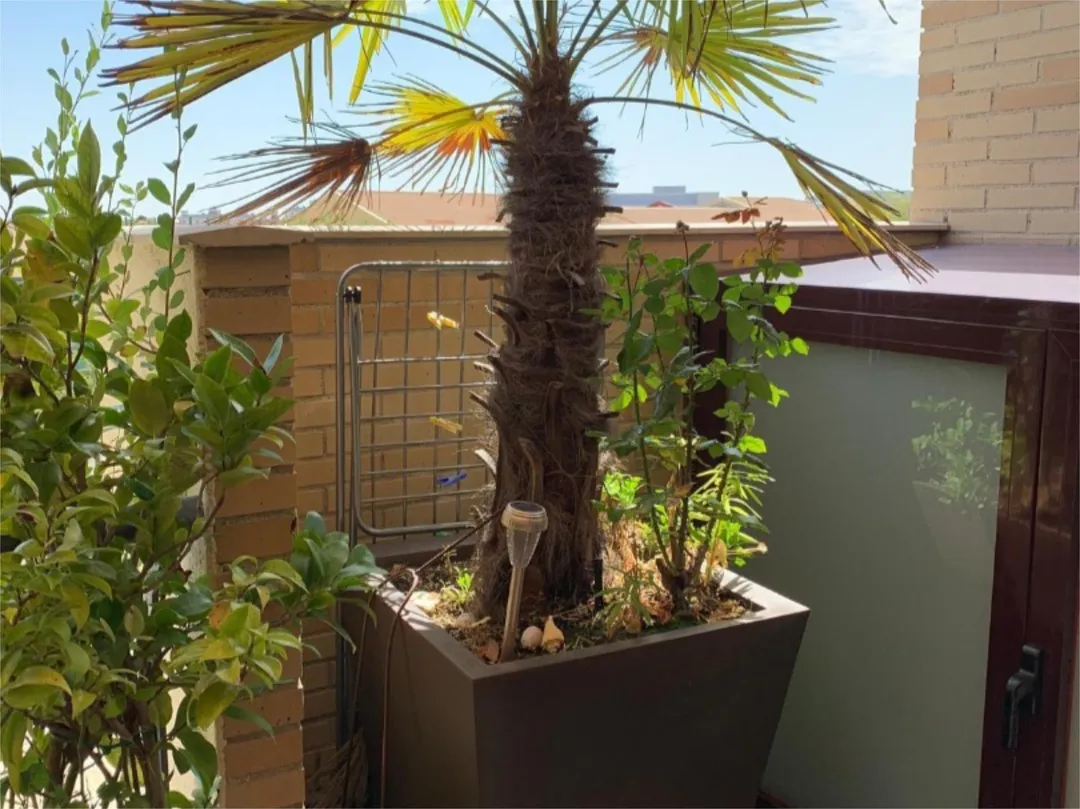 Ático en  Calle Francisco Tomás y Valiente 5 - Foto 13