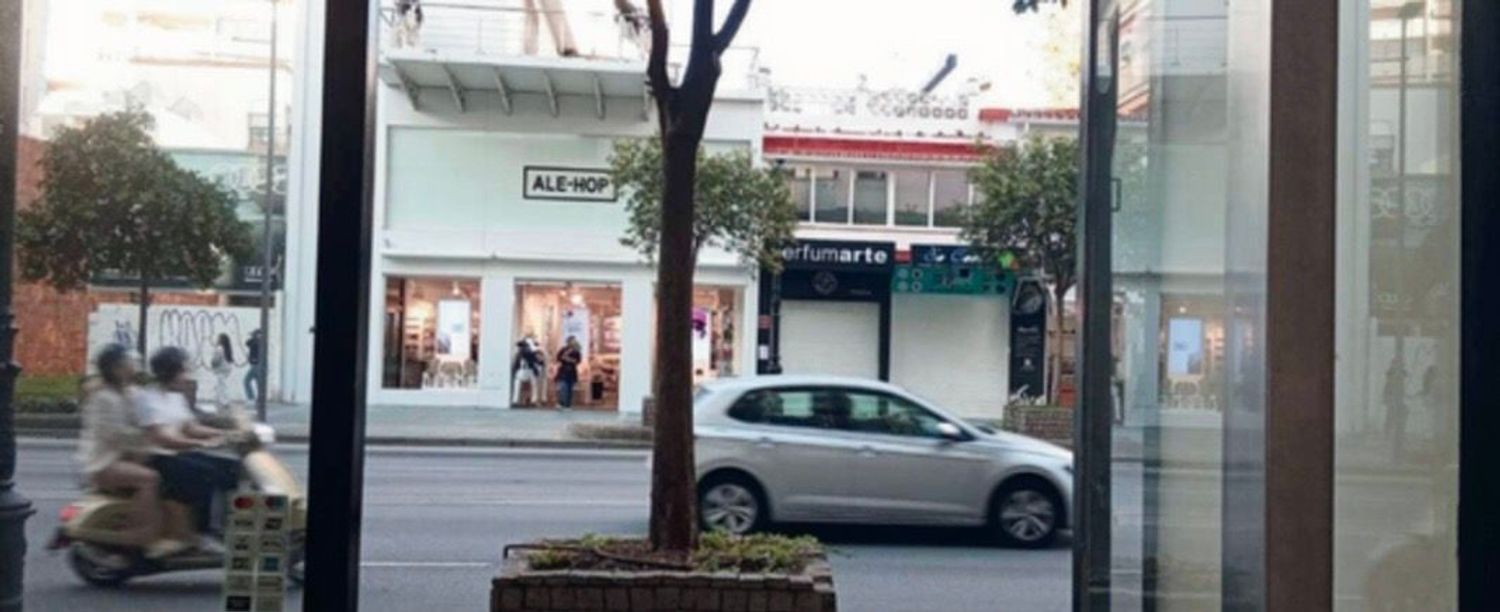 Local en Avenida Ricardo Soriano, 9, Ricardo Soriano - Foto 11