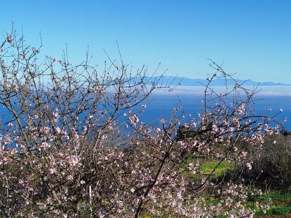 Casa independiente en Tf-274, 33 - Foto 2