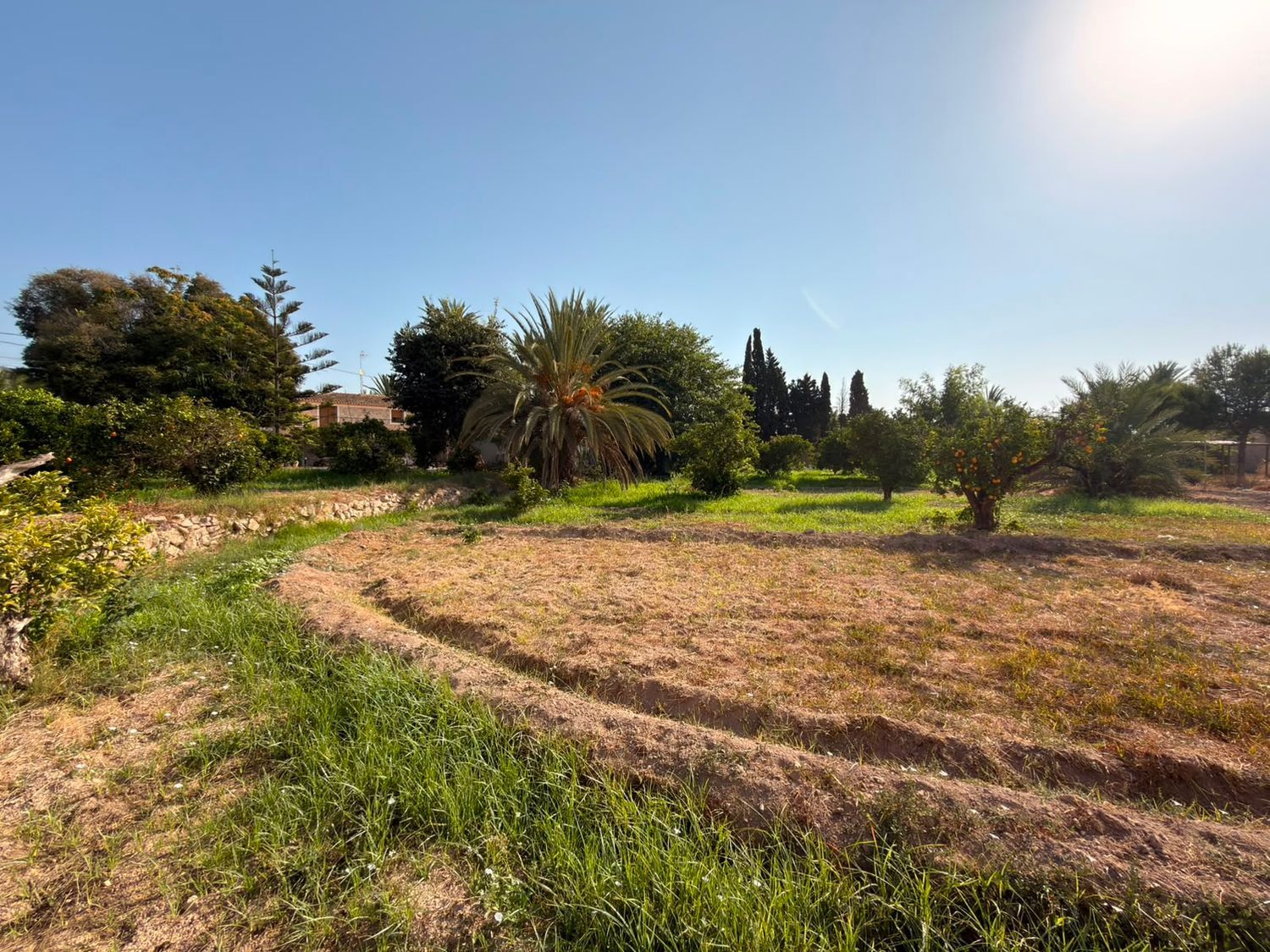Masía en Masía en El Secanet - Hacienda del Sol, El Secanet - Hacienda del Sol - Foto 19