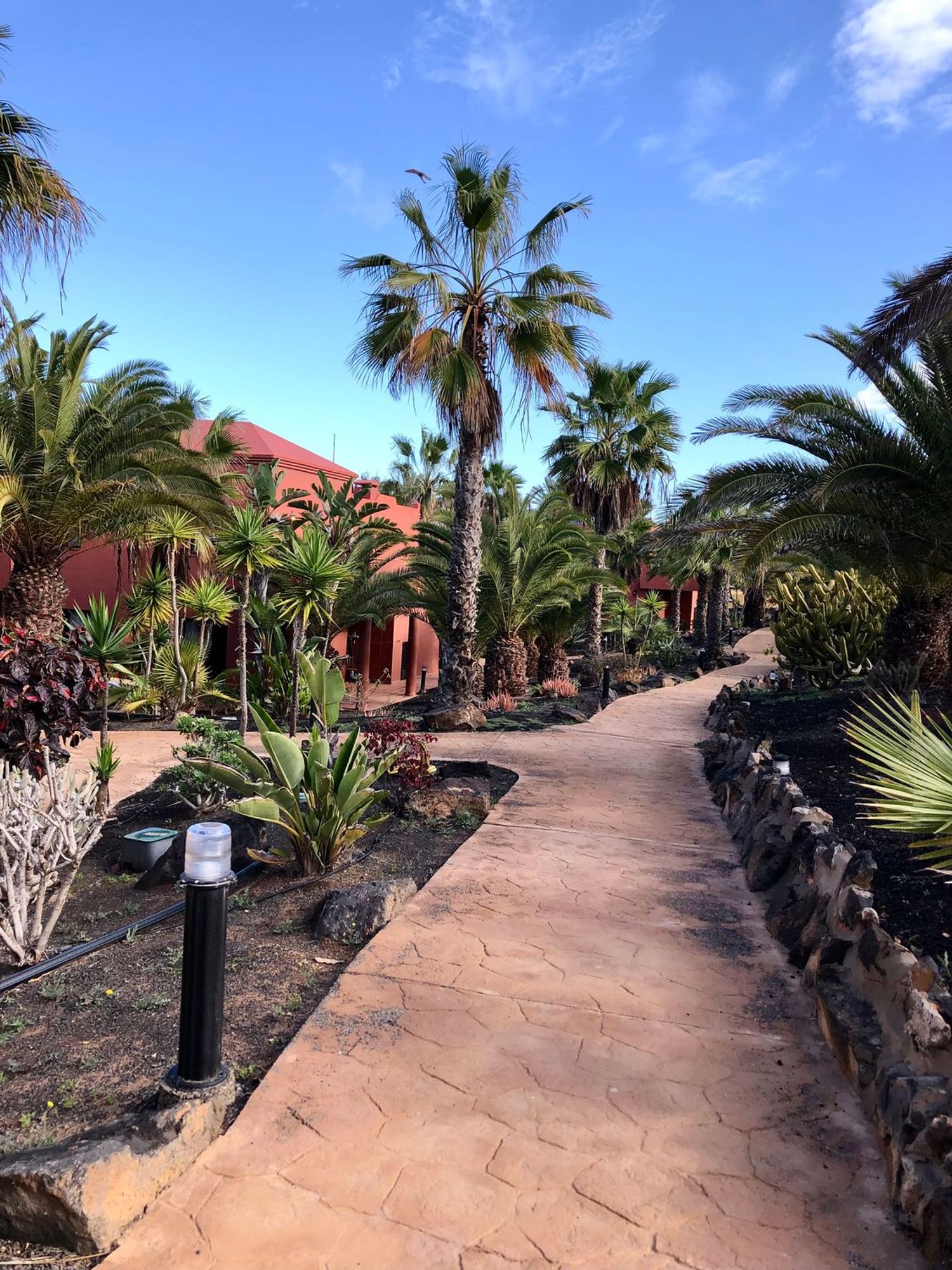 Estudio en Calle Guirre, 1, Corralejo, Corralejo - Foto 13