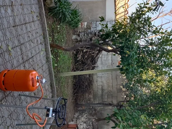 Casa de pueblo en Calle José Antonio, 48 - Foto 9