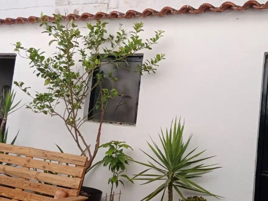 Dúplex en  Calle Adelardo Covarsí 18 - Foto 12