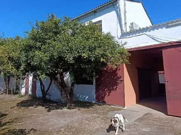 Finca rústica en  Carretera Palma del Río km 10 - Foto 9