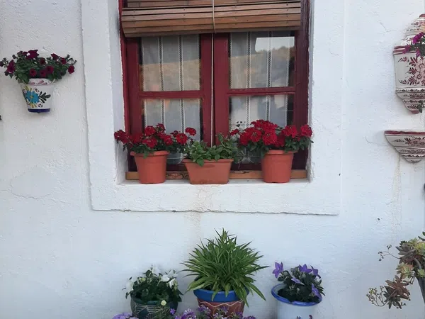 Casa de pueblo en Calle la Platería, 33 - Foto 11