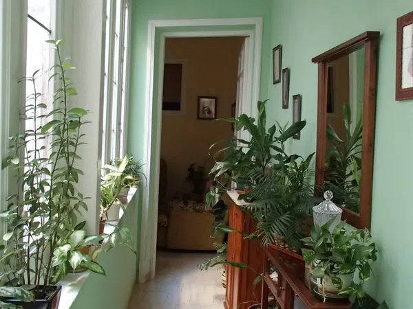 Piso en calle de las Fuentes, 8