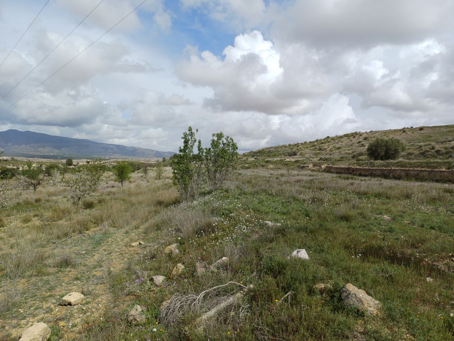 Casa independiente en Sierra de la Pila, 3 - Foto 14