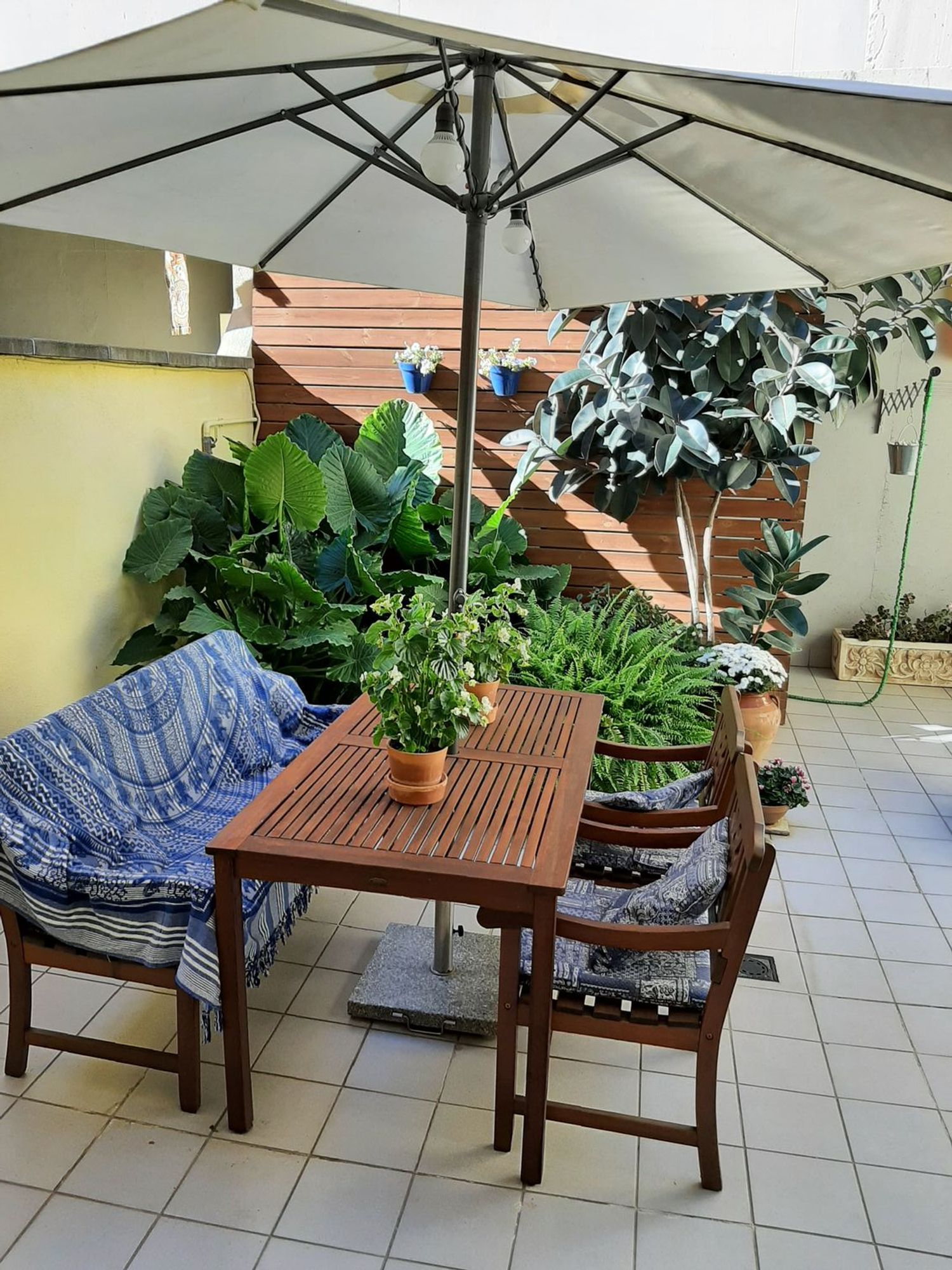 Piso en Calle Mossèn Molé, 29, Rocafonda, Rocafonda - Foto 2