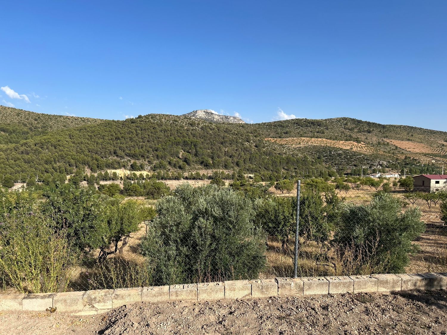 Finca rústica en Molino la parra, 48 - Foto 15