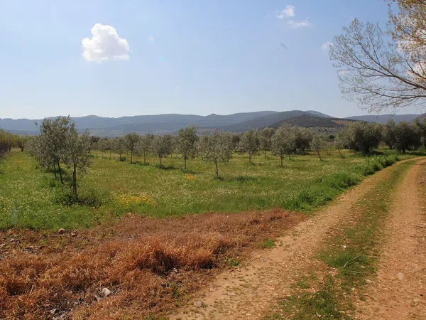 Finca rústica en Cr-7131, 1 km - Foto 14