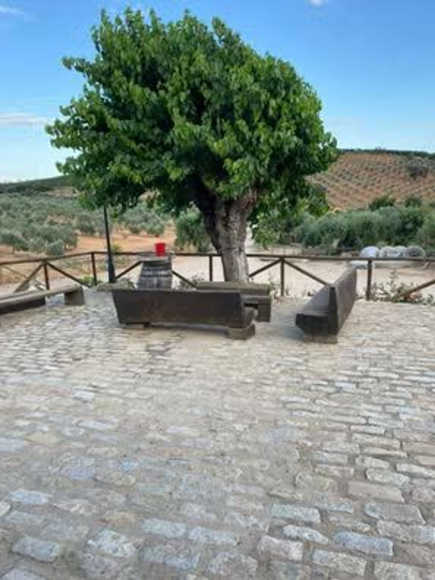 Finca rústica en Carretera Constantina, 4 Fincarusticaenctraconstantinakm - Foto 6