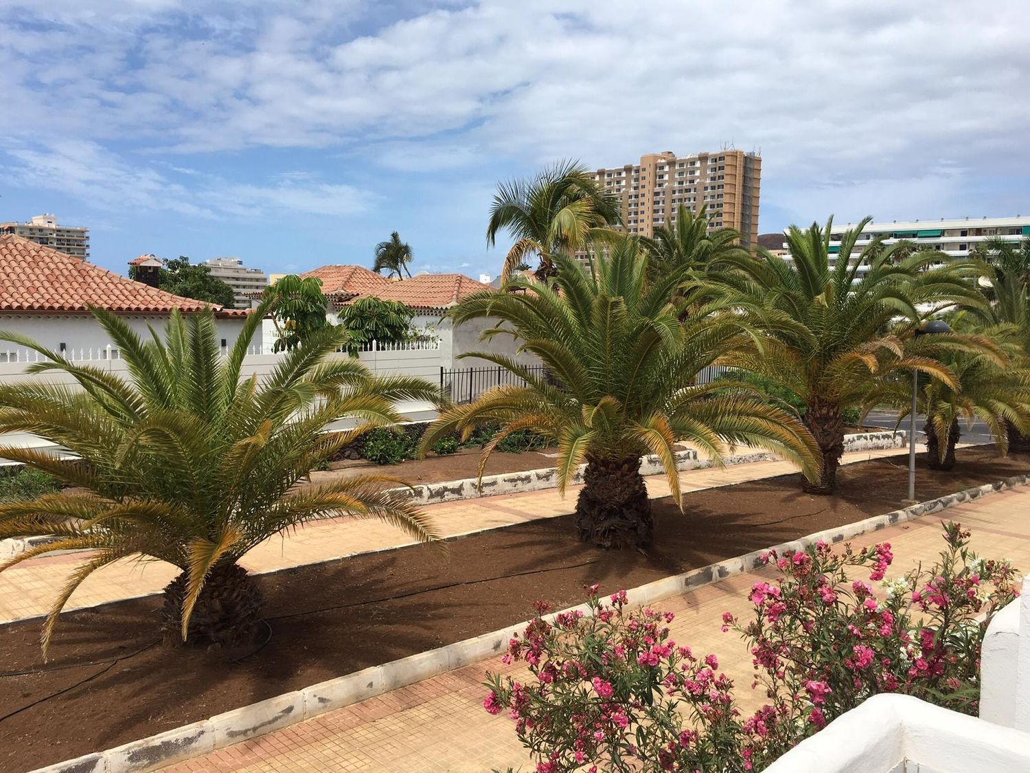 Piso en avenida Londres, 6 - Foto 4