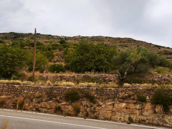 Masía en Masía en Partida Ponsa s/n - Foto 17