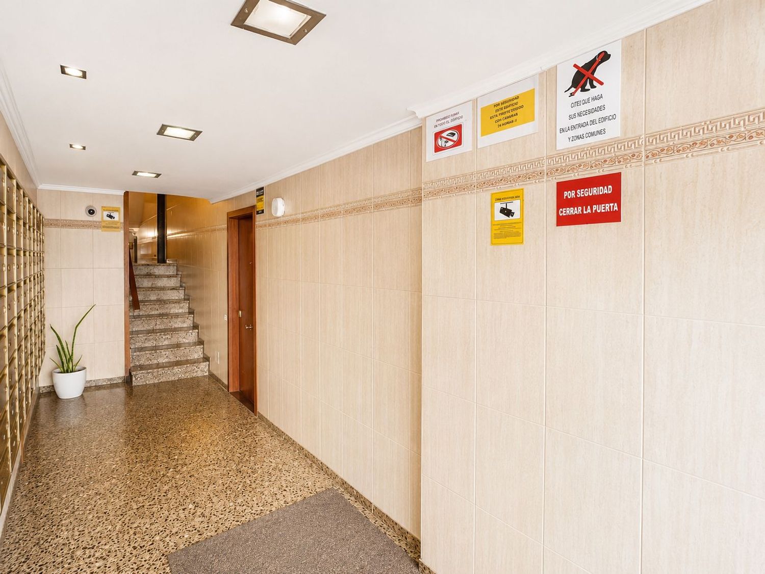 Piso en Calle Farmacéutico Miguel Padilla, 2, Schamann - Rehoyas - Foto 4
