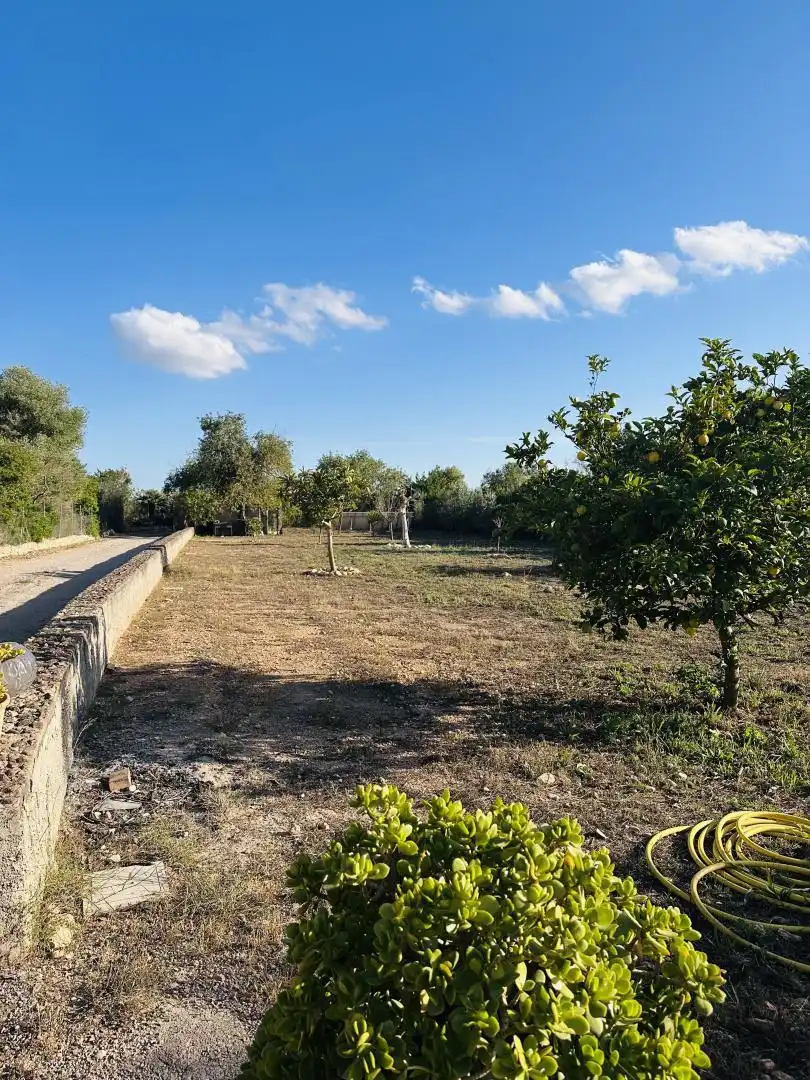 Finca rústica en  Camí de Ferrutxelles 506 - Foto 15