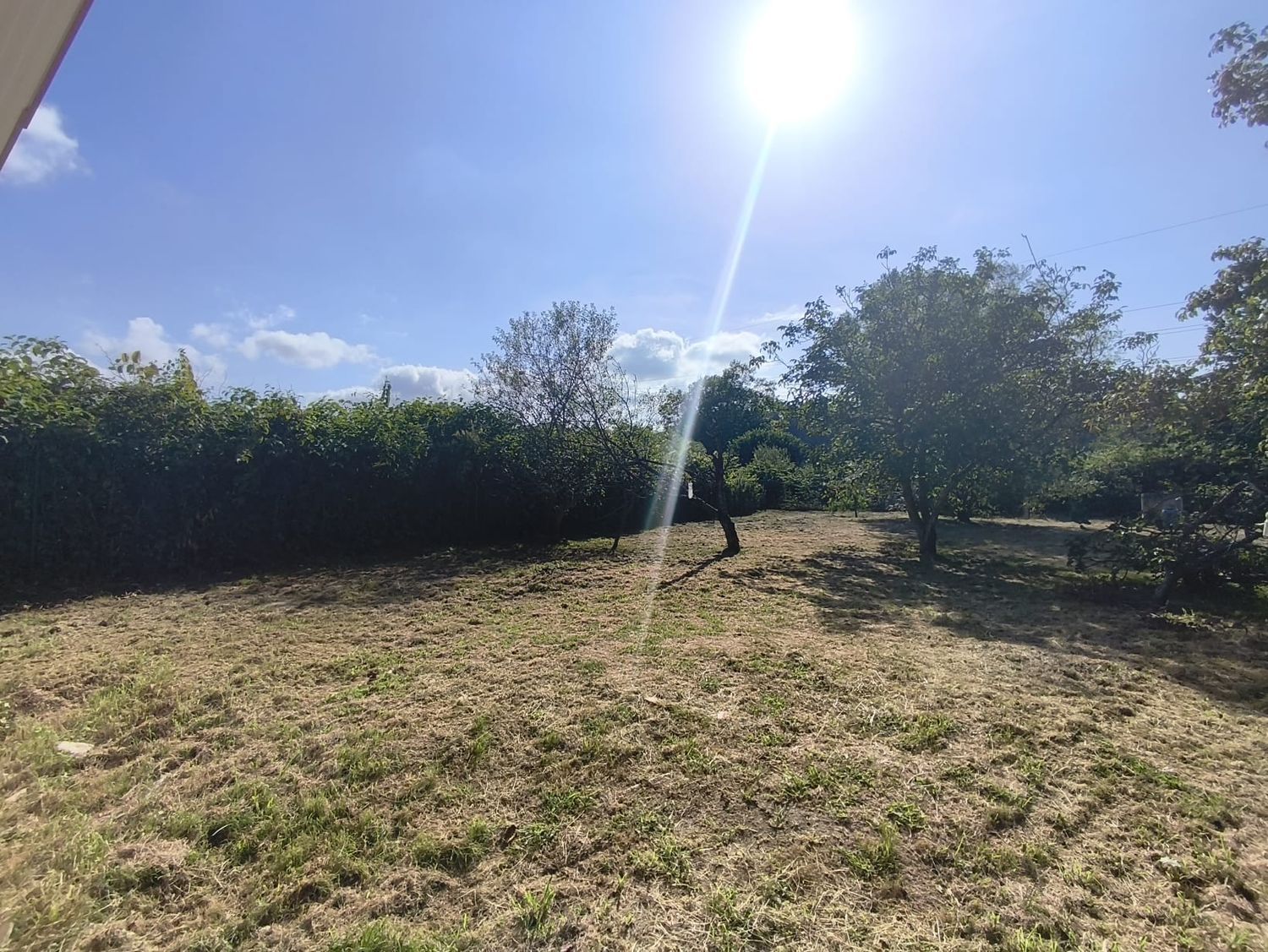 Finca rústica en Mies Barreda, 6 Poligonoparcela, Inmobiliaria - Barreda, Inmobiliaria - Barreda - Foto 5