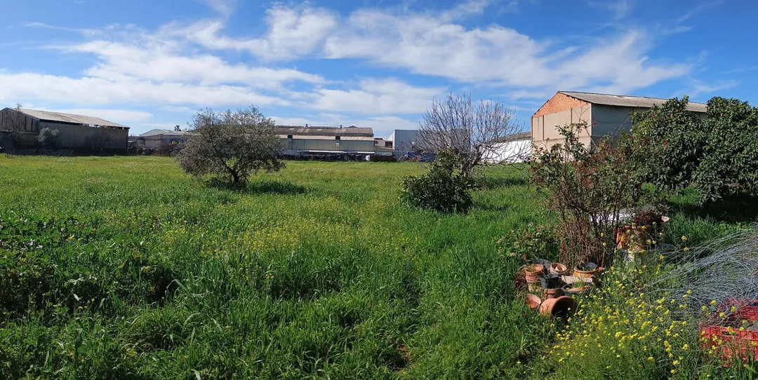 Finca rústica en  Camino de la Barquera 51 - Foto 10