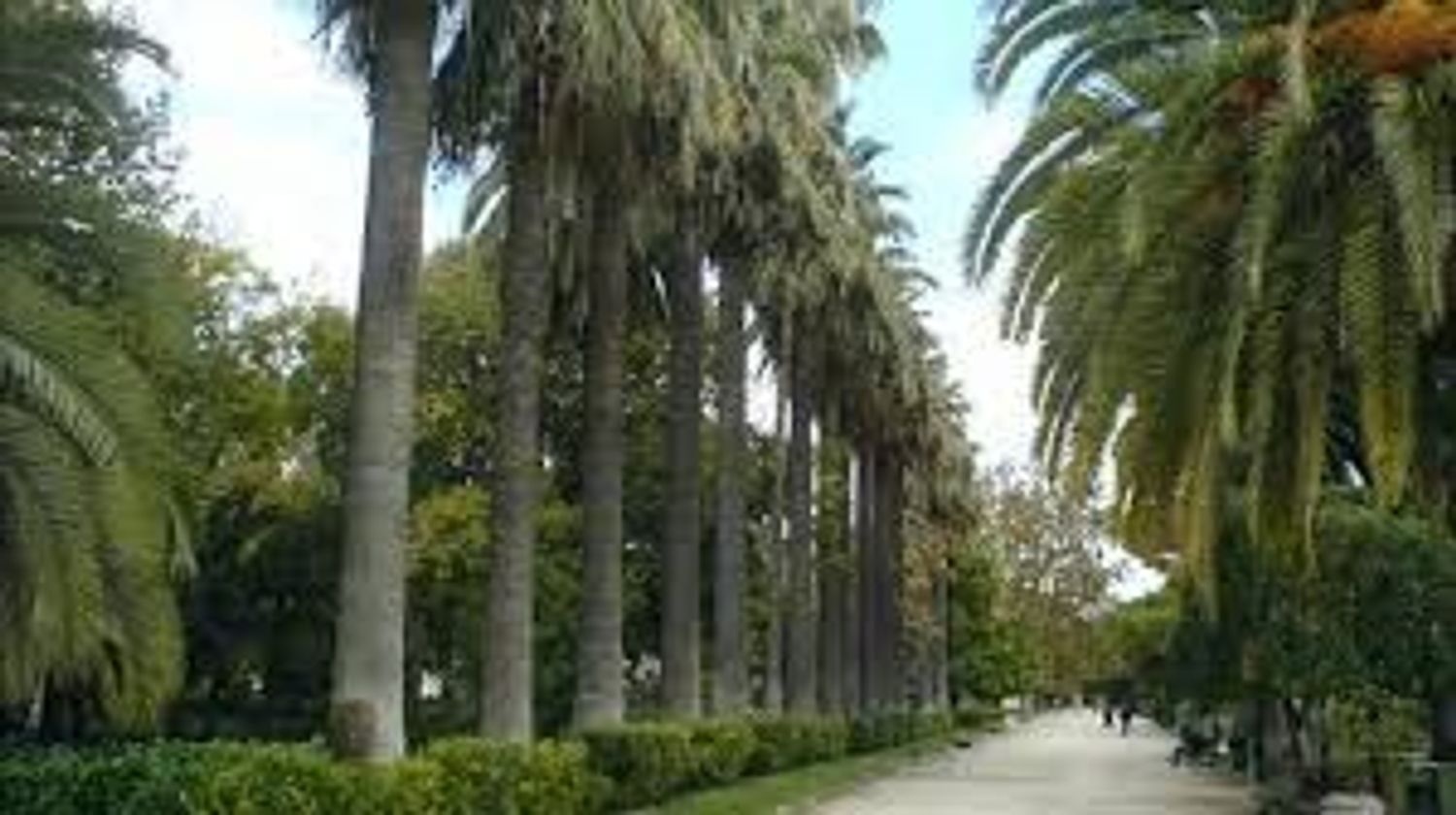 Piso en Paseo de la Alameda, Exposició - Foto 40