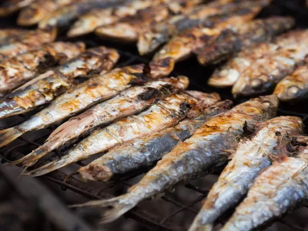 Casa independiente en Lugar Alzabaras Alto Poligono 1, 1063 - Foto 17