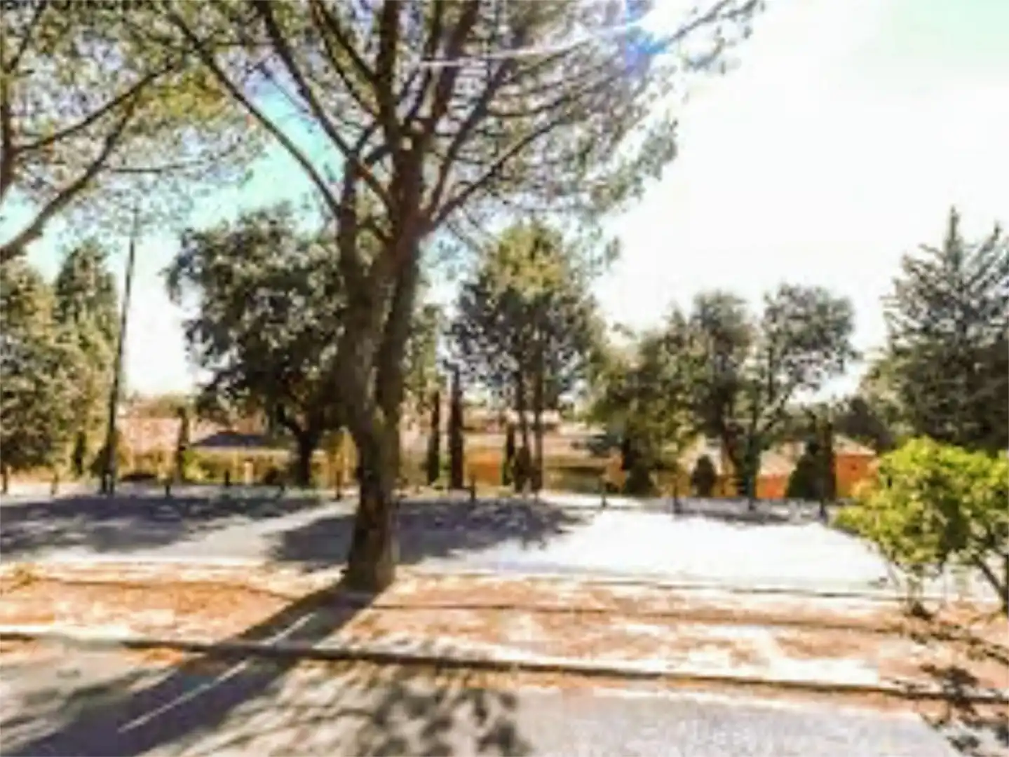 Terreno Residencial en  Calle de las Adelfas 1 - Foto 6