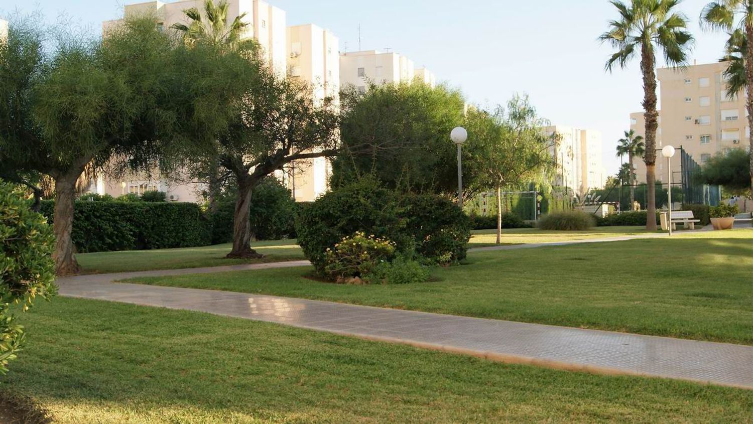 Piso en Calle Músico Agustín Bertomeu, 4, El Palmeral-Urbanova-Tabarca - Foto 14