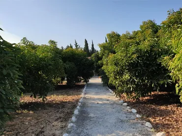 Finca rústica en  Camino el Grijo 3 - Foto 7