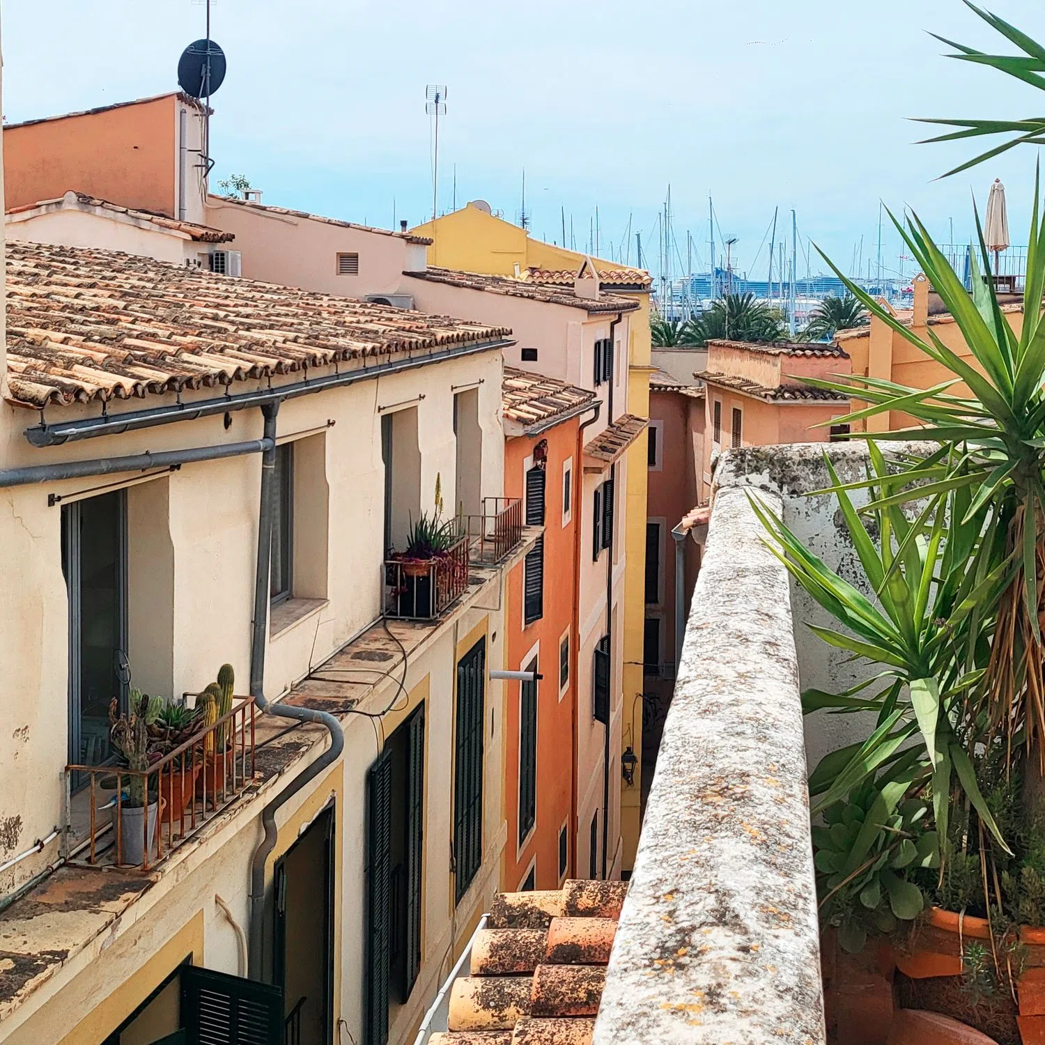 Estudio en calle del Vi, 20 - Foto 18