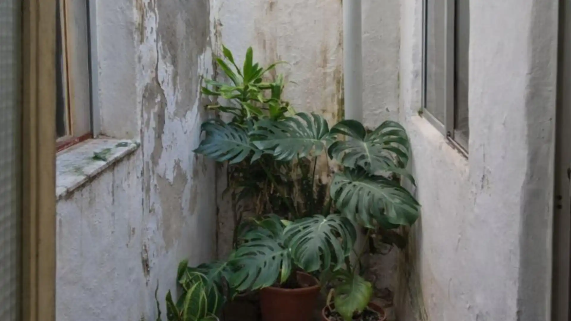 Piso en  Calle Cardenal Rodrigo de Castro 17 - Foto 11