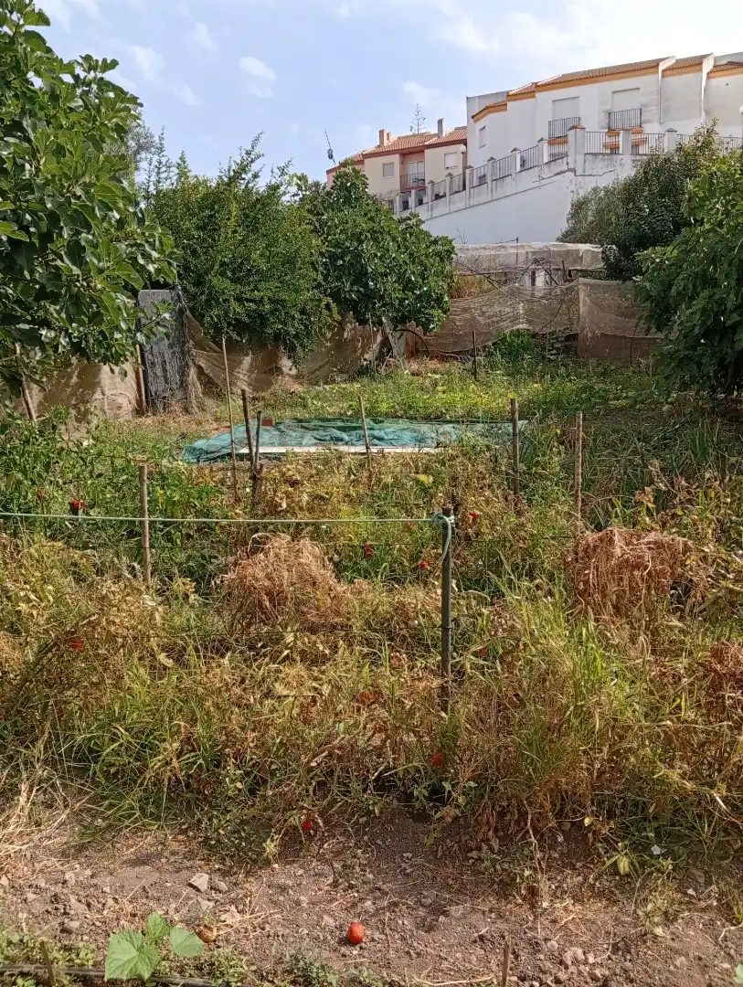 Planta baja en  Calle Galdames 83 - Foto 2