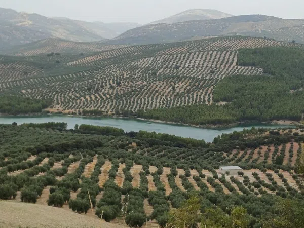 Cortijo en Cortijo en Unnamed Road s/n - Foto 11