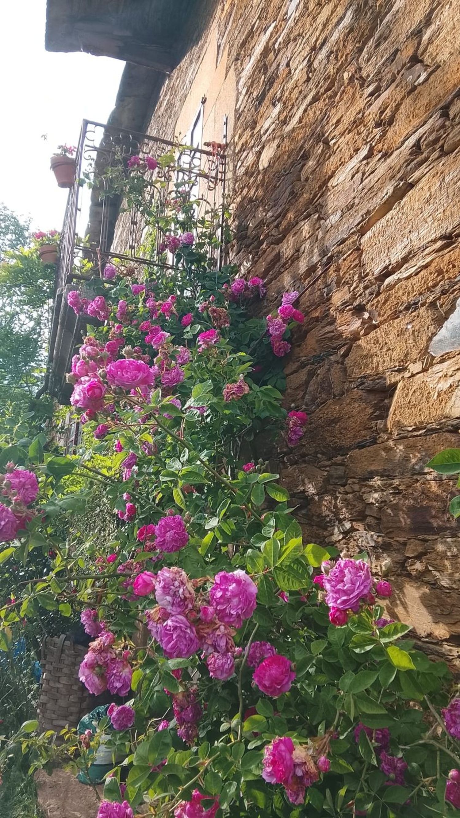 Palacio en Palacio en Monforte de Lemos - Foto 14