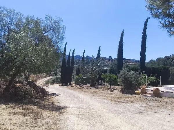 Casa o chalet independiente en Camino de la Trinidad del rodeo 49 Beniaján 30570 Murcia, 49, Beniaján - Foto 30