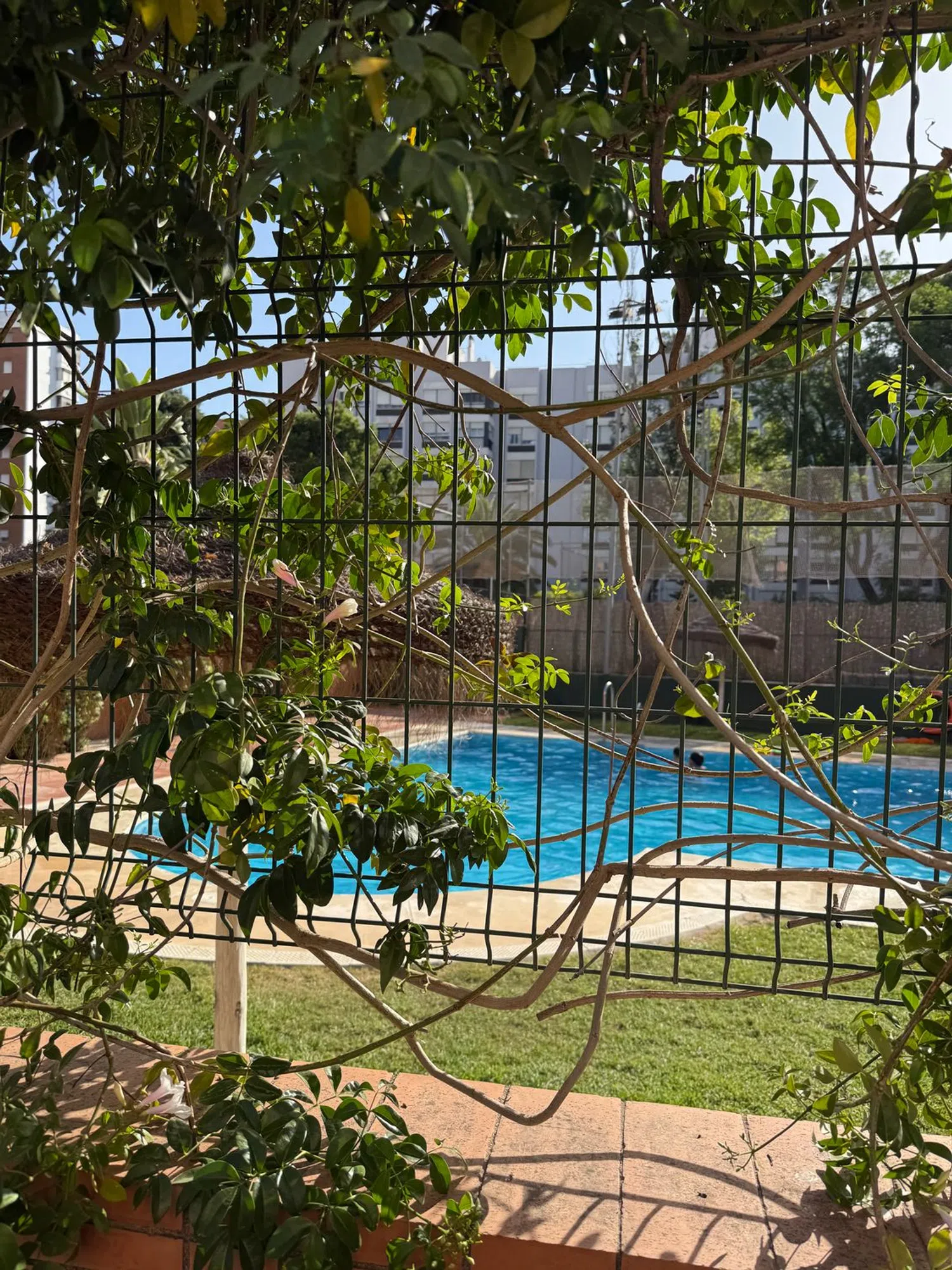 Piso en Cardenal Bueno Monreal, 33 - Foto 14
