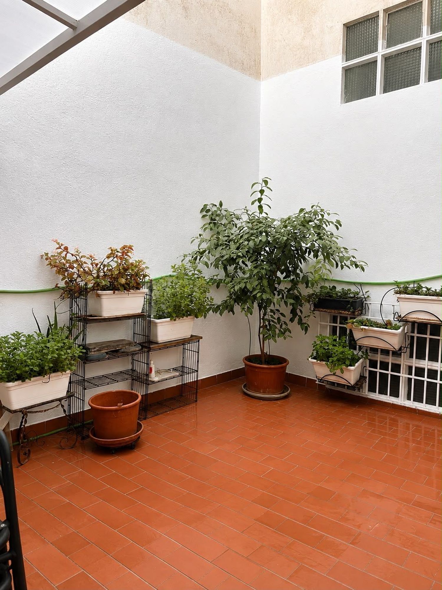 Piso en Calle Horno de Haza, 22, Jardín Botánico - Foto 9