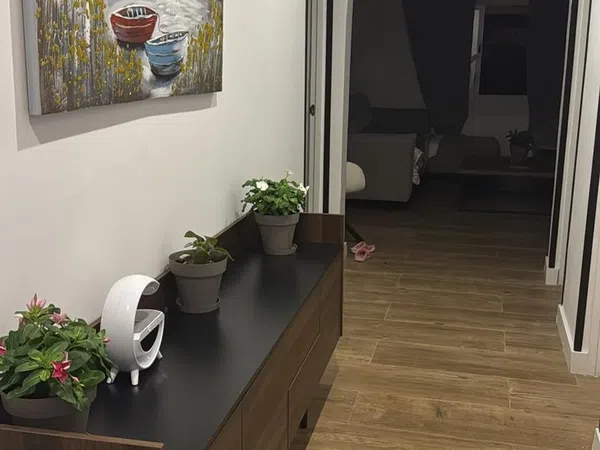 Casa independiente en calle San Fernando, 43 - Foto 2