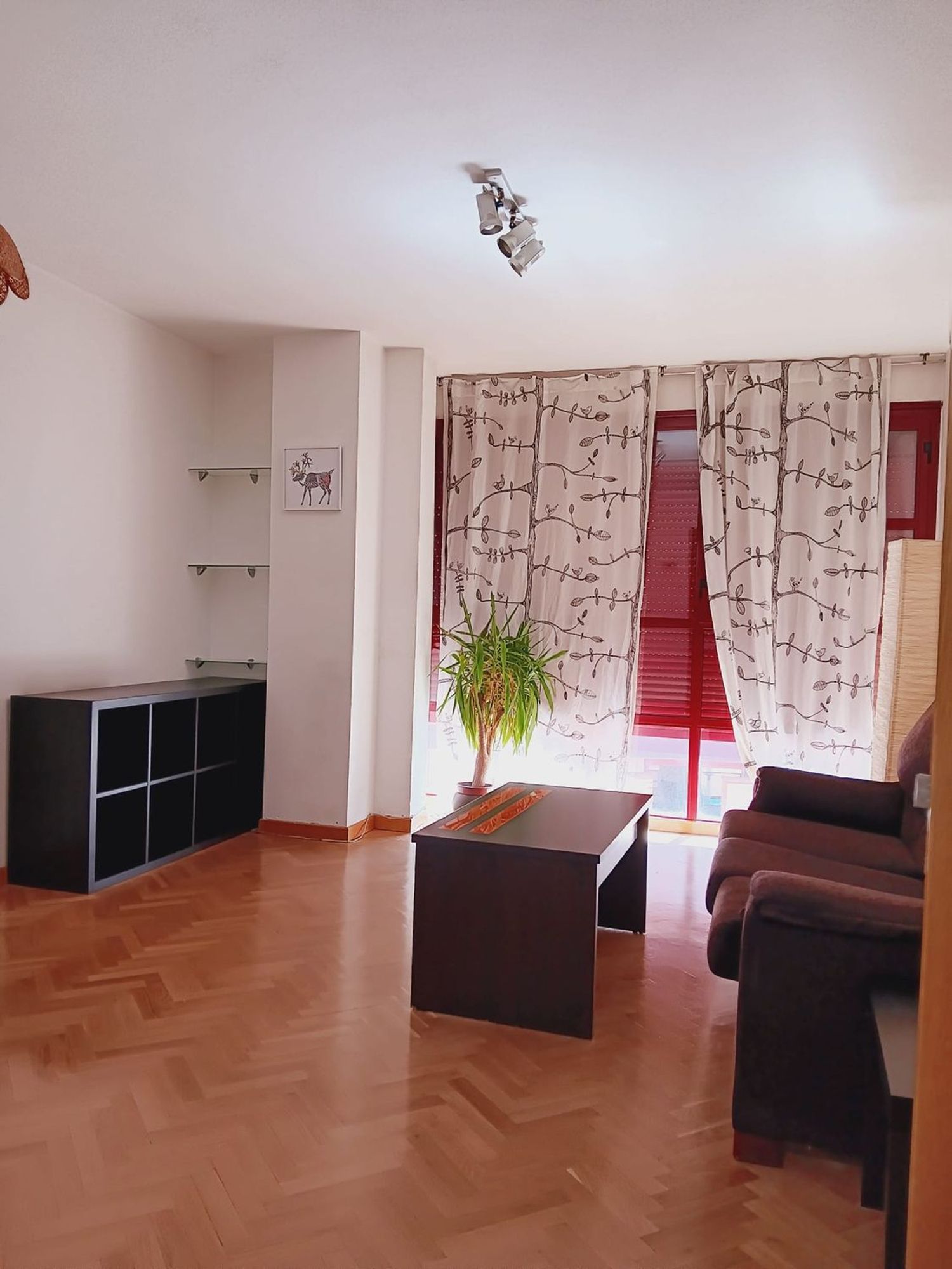 Piso en Juan de Austria, Juan de Austria - Foto 11