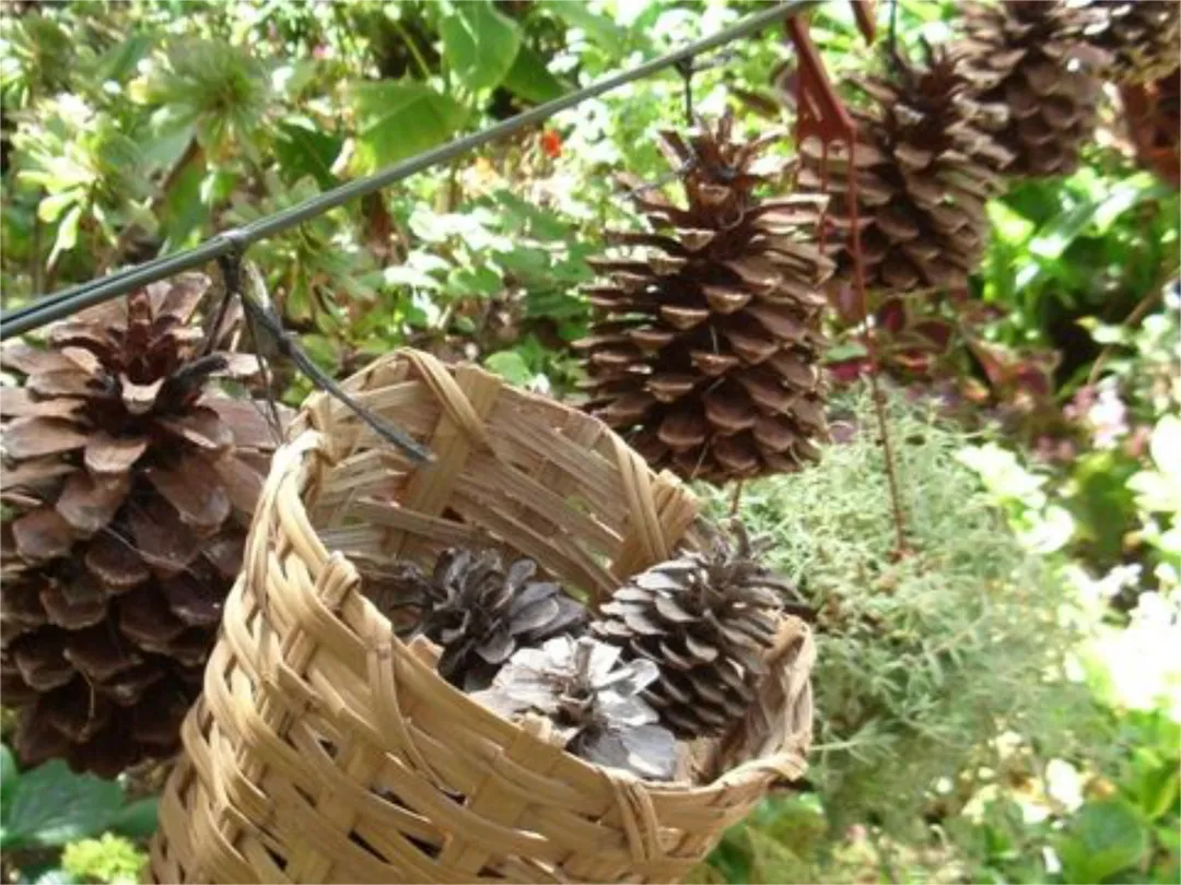 Finca rústica en calle Calle Espíritu Santo 15 - Foto 2