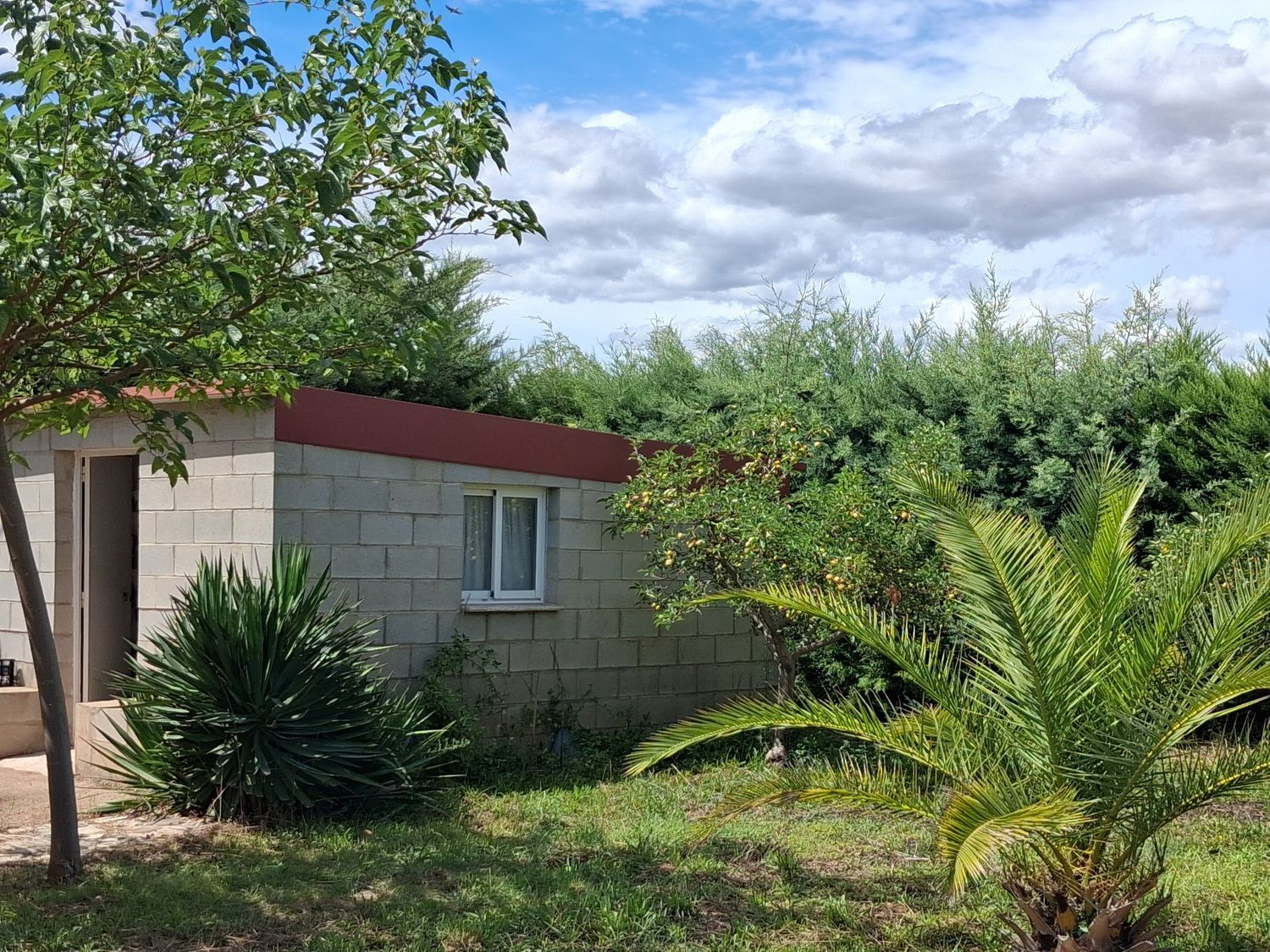 Finca rústica en Avenida Nuestra Señora del Villar s/n - Foto 13
