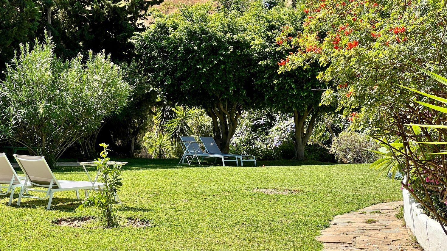 Finca rústica en Altos de Estepona - Foto 2