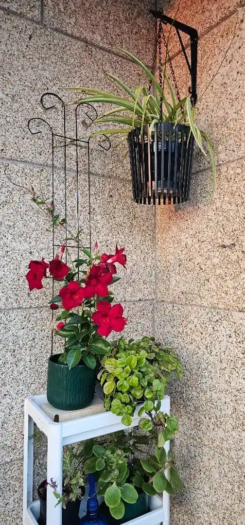 Apartamento en  PO-550 34 - Foto 7