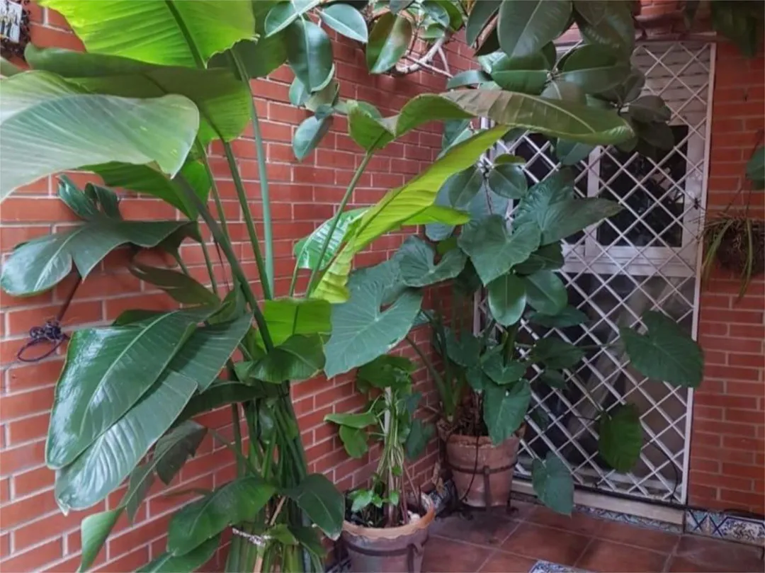 Piso en  Calle Cueva del Gato 3 - Foto 4