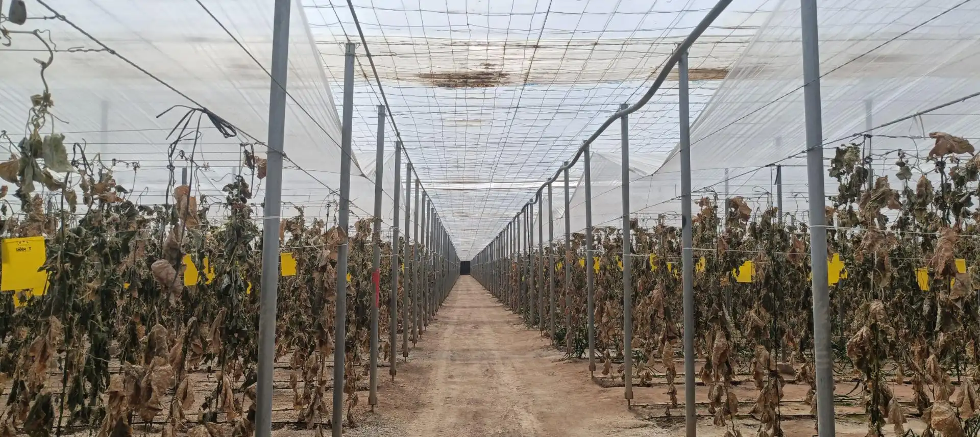 Finca rústica en - Foto 2