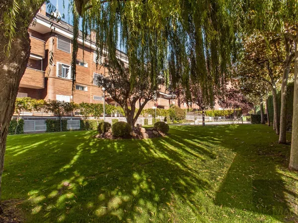 Piso en Avenida de la Oliva, 6, Golf - El Carralero - Foto 4